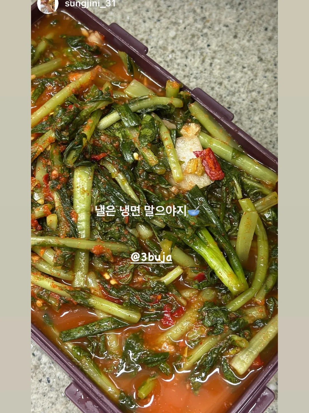 바이누누 자수 배냇수트 9