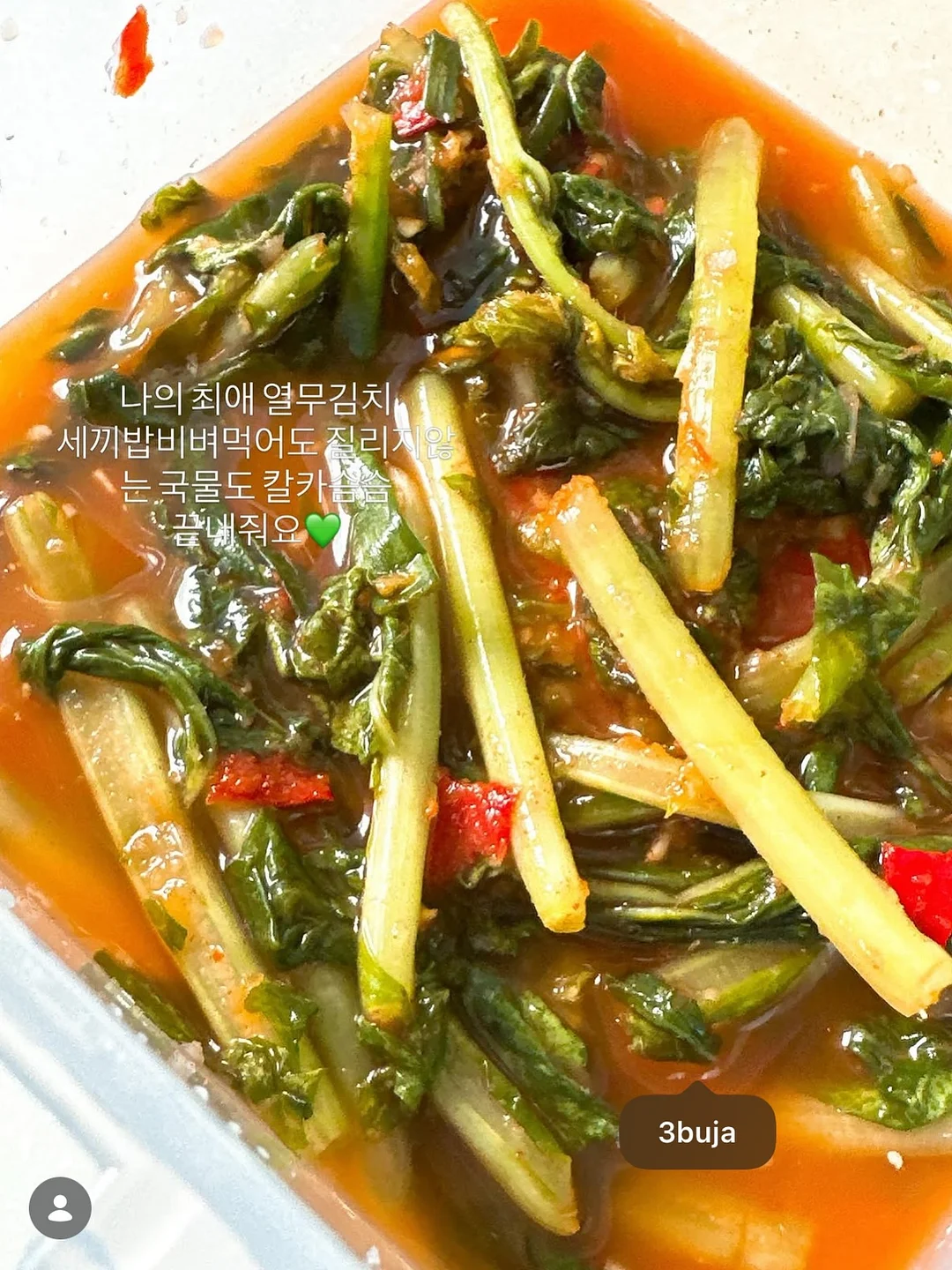 바이누누 자수 배냇수트 10
