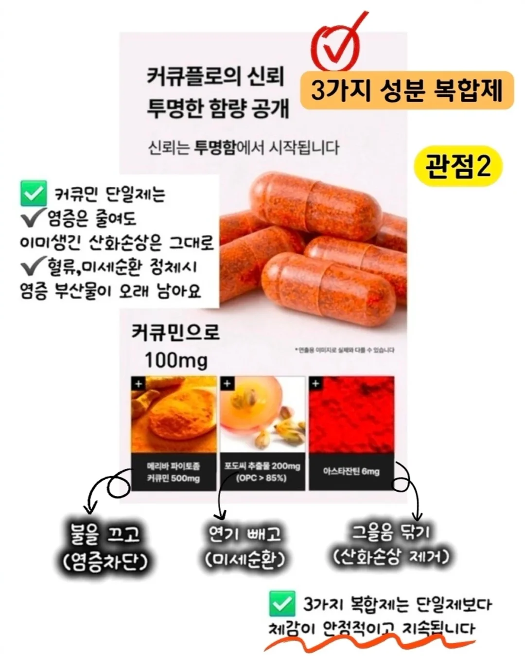 넬리브 활성엽산 800 3