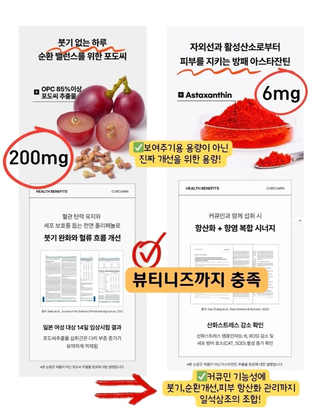 넬리브 활성엽산 800 6
