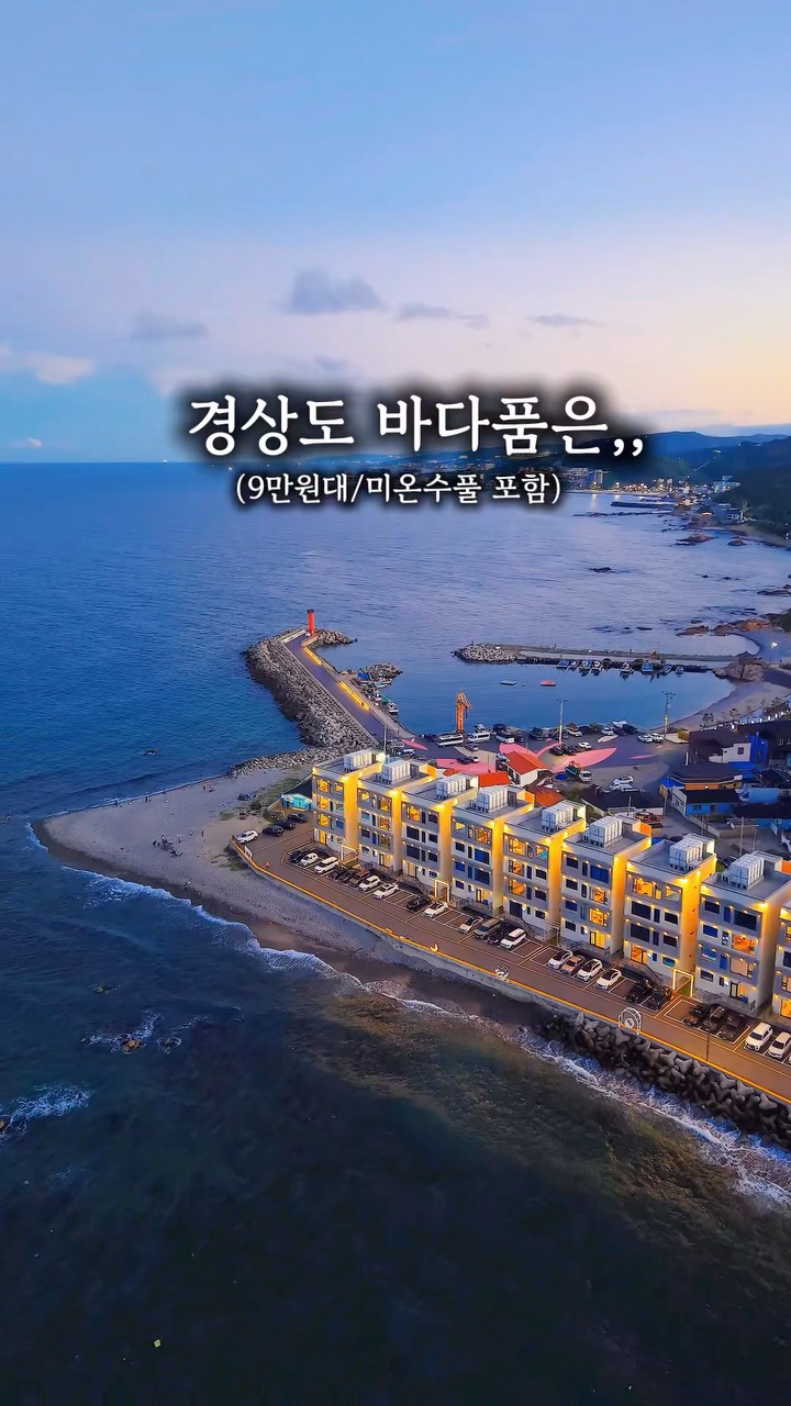양배추환