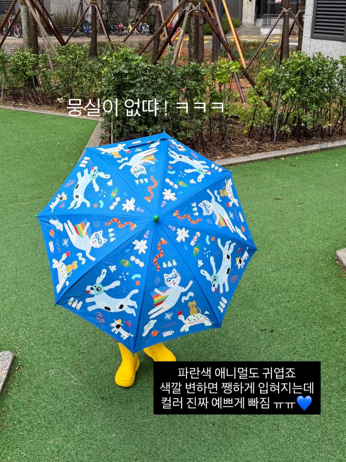 문어 괄사 마사지, 도트 보관통, 약 보관통, 휴대폰 케이스 16