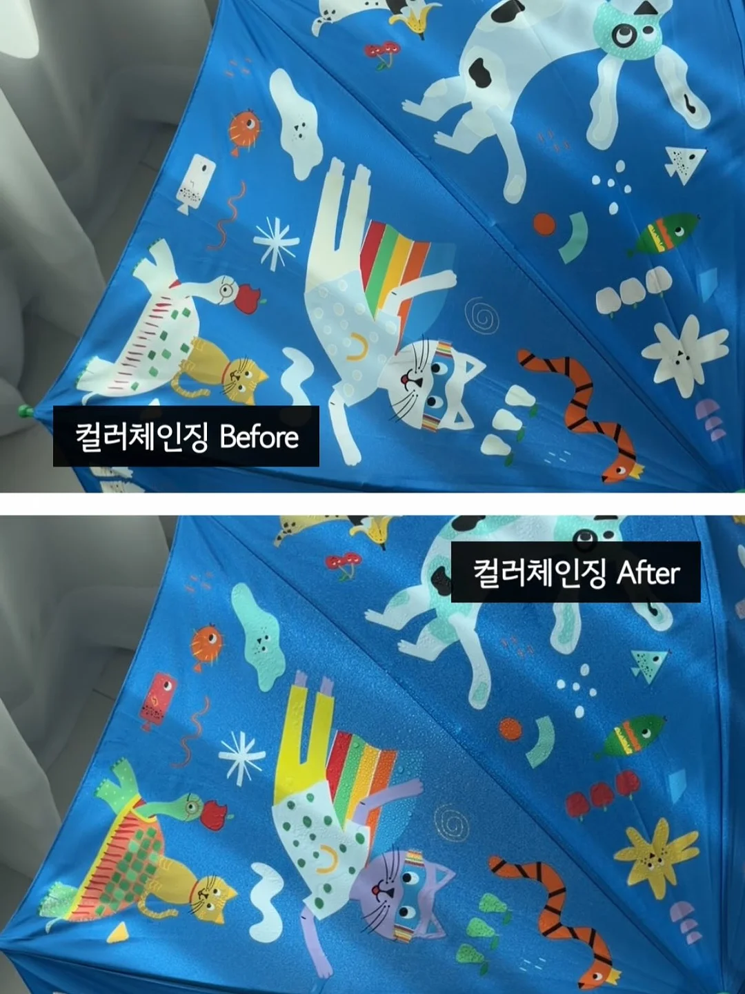 문어 괄사 마사지, 도트 보관통, 약 보관통, 휴대폰 케이스 18