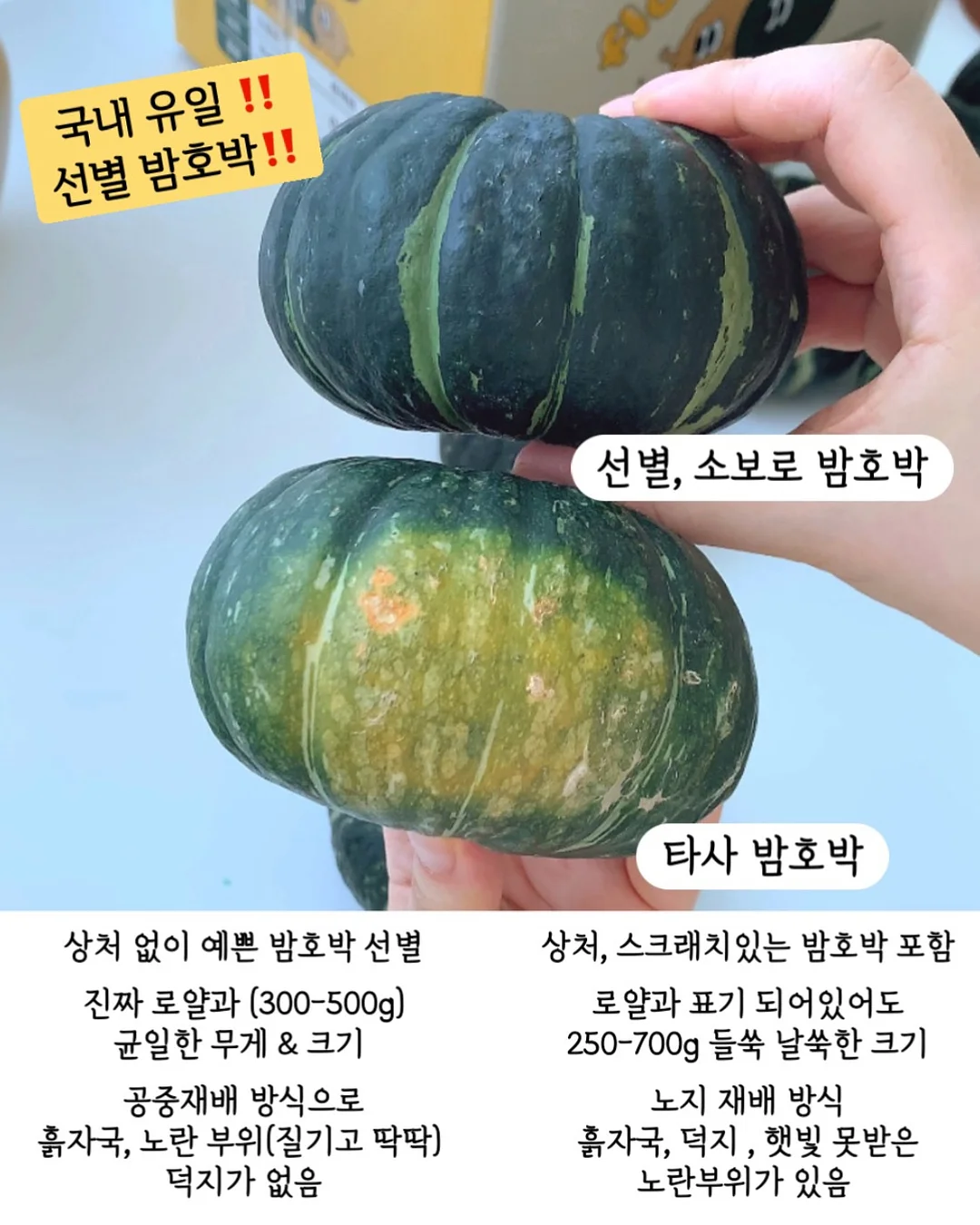 피치요거트 4