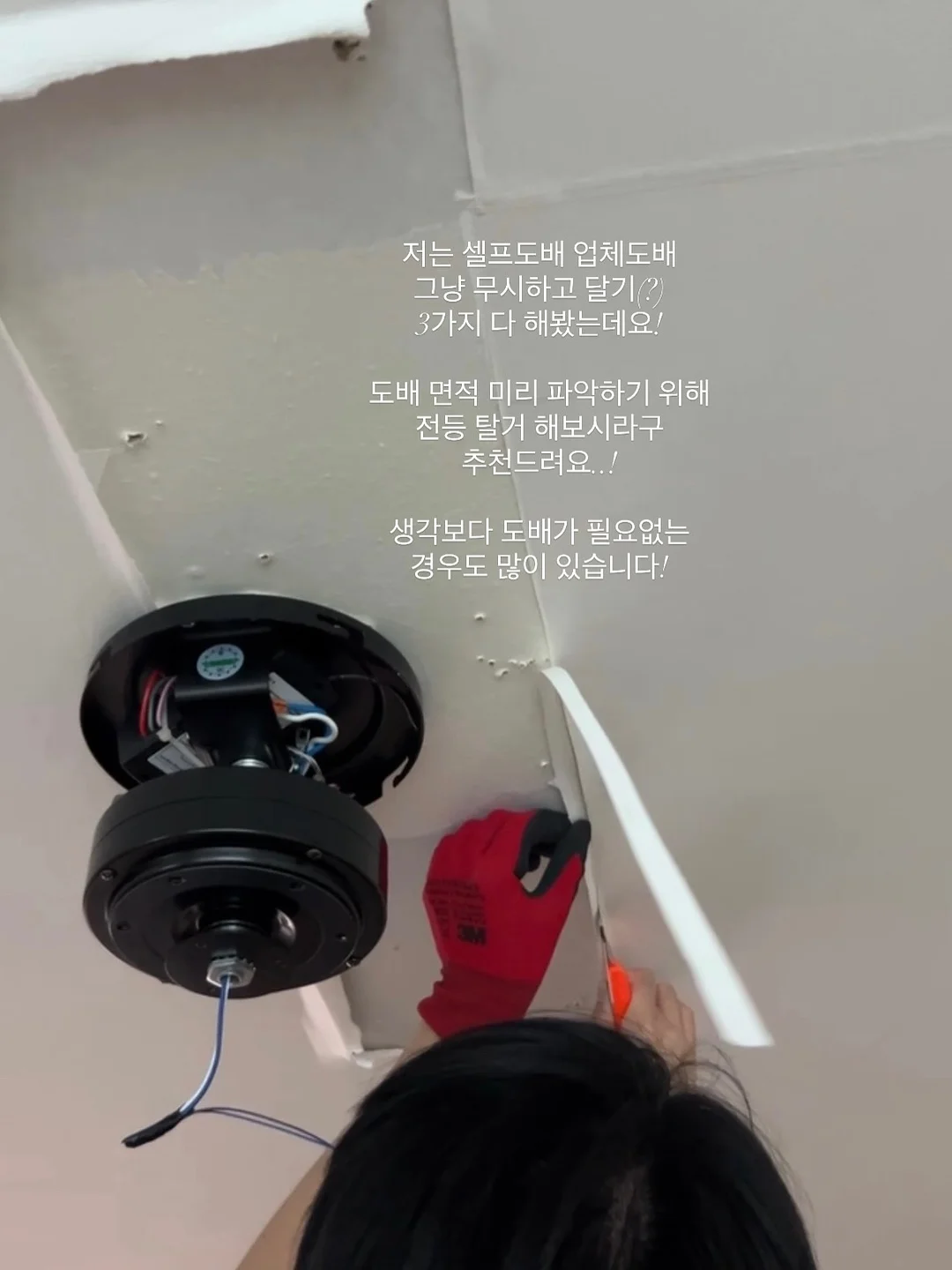 당근 페이스트 14