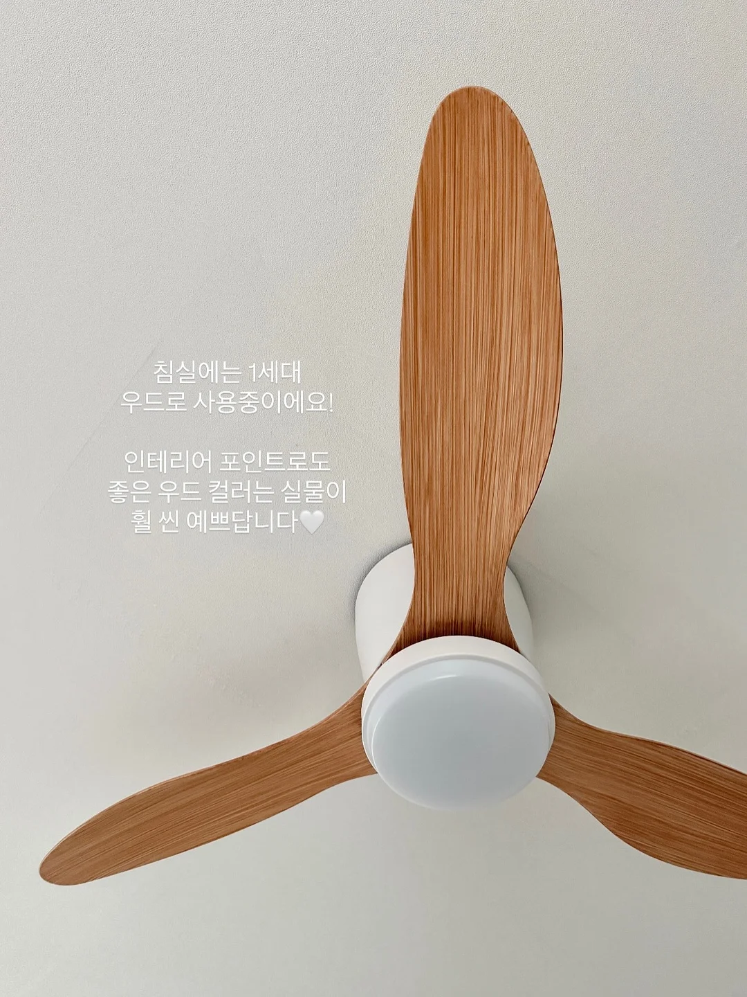 당근 페이스트 10