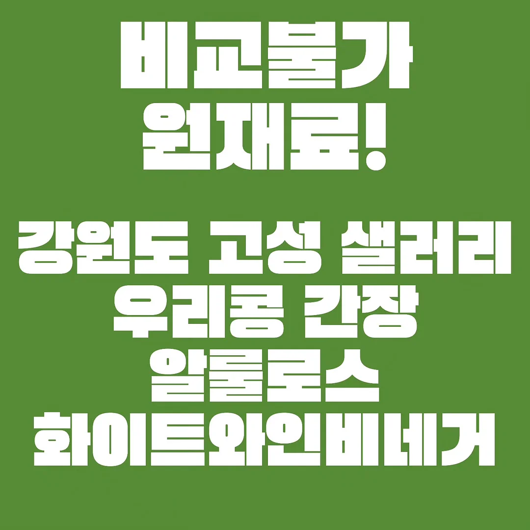 마크툽 무료공연 7