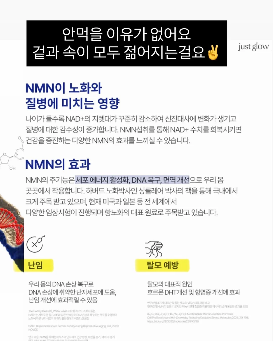 토마토 레시피 11