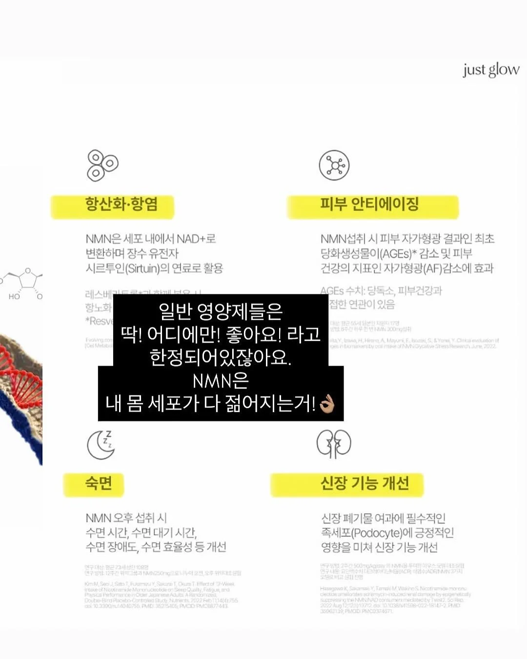 토마토 레시피 12