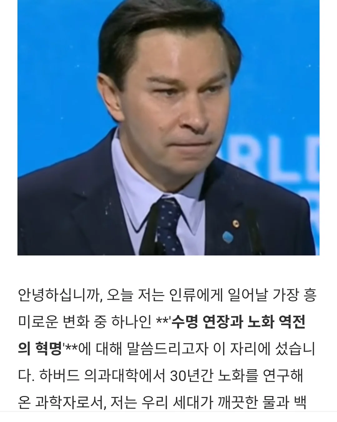 토마토 레시피 8