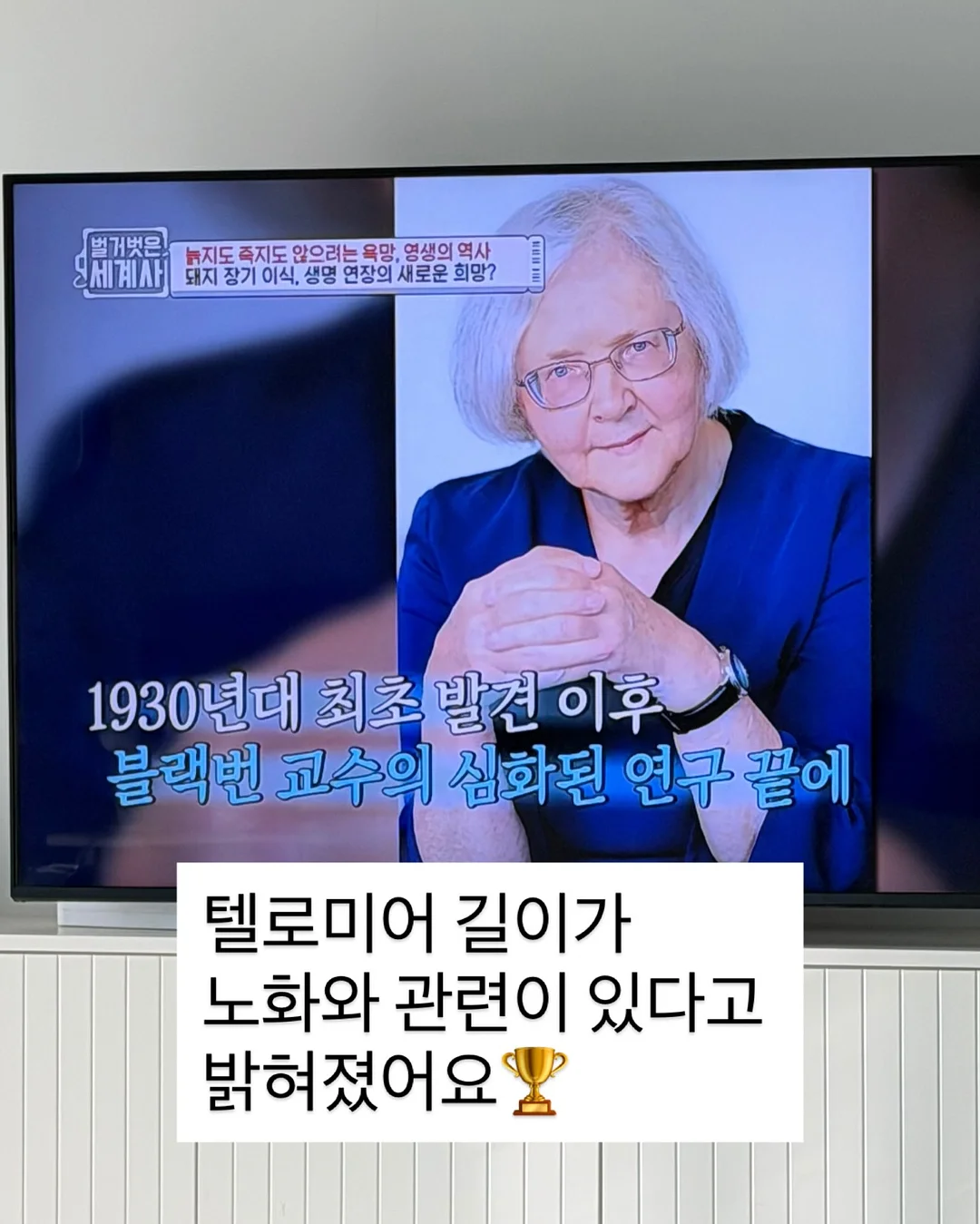 토마토 레시피 10