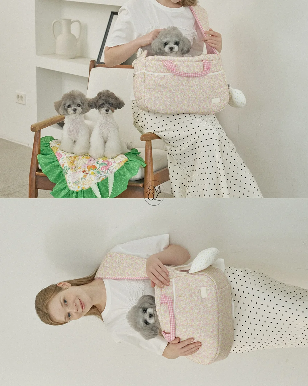 성심당 초코망고샌드