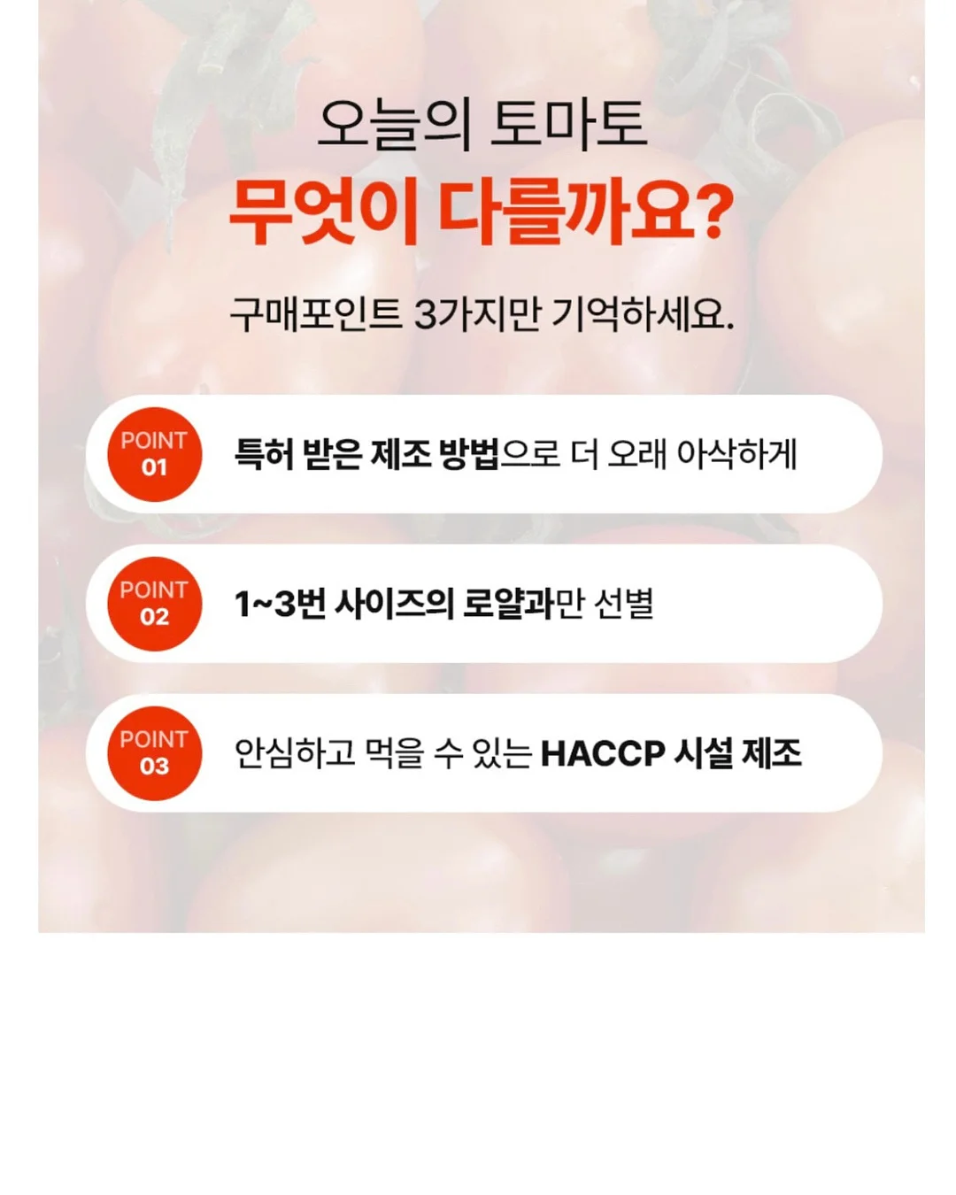 달력케이크 11