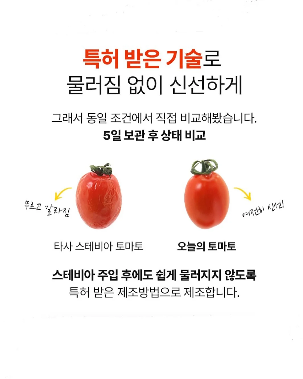 달력케이크 12