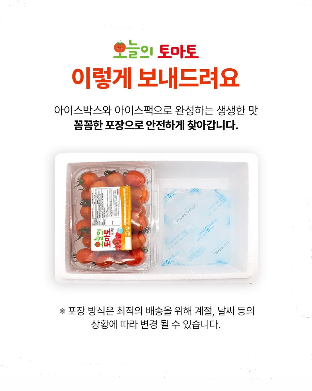 달력케이크 13