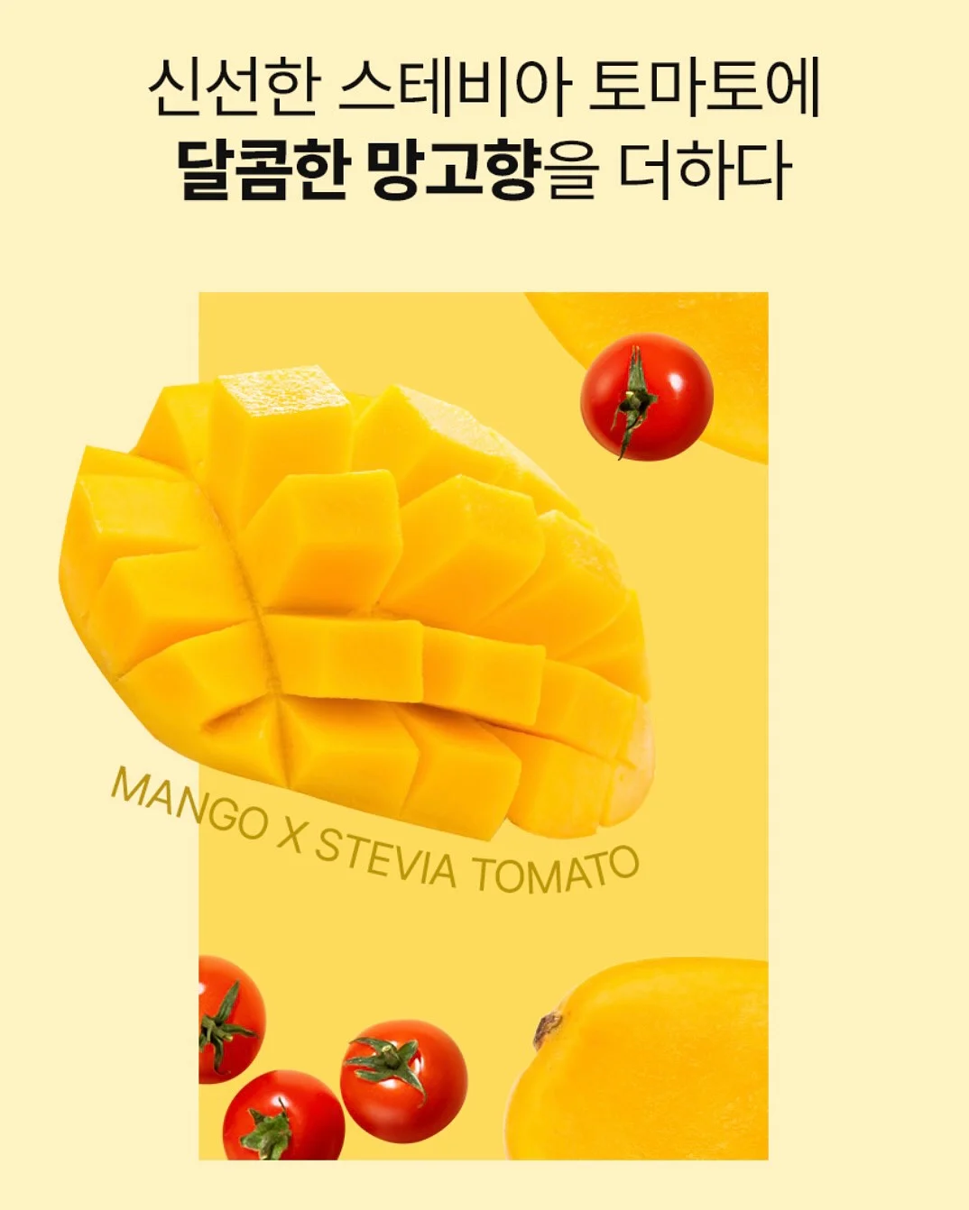 달력케이크 10