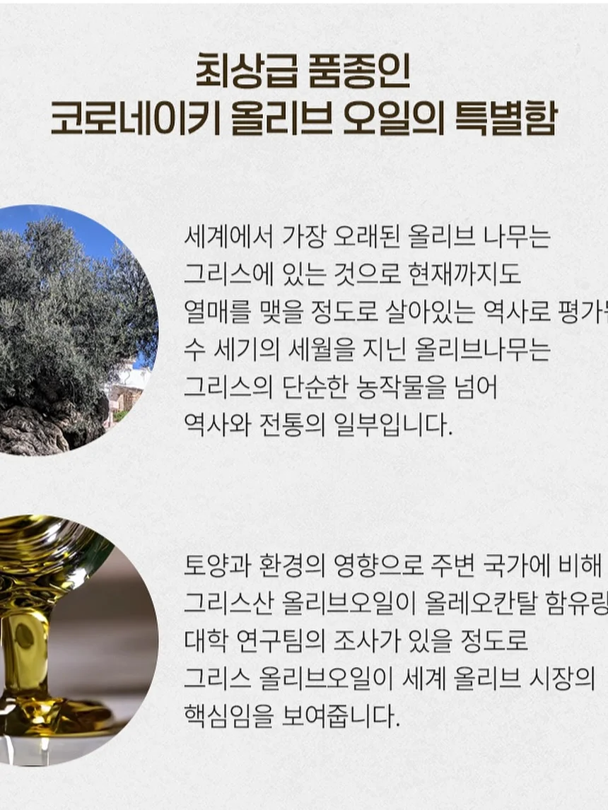 안키모 17