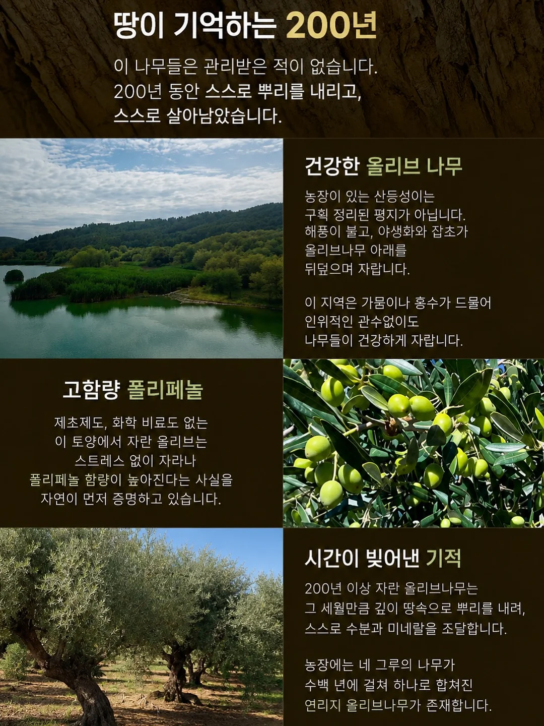 안키모 3