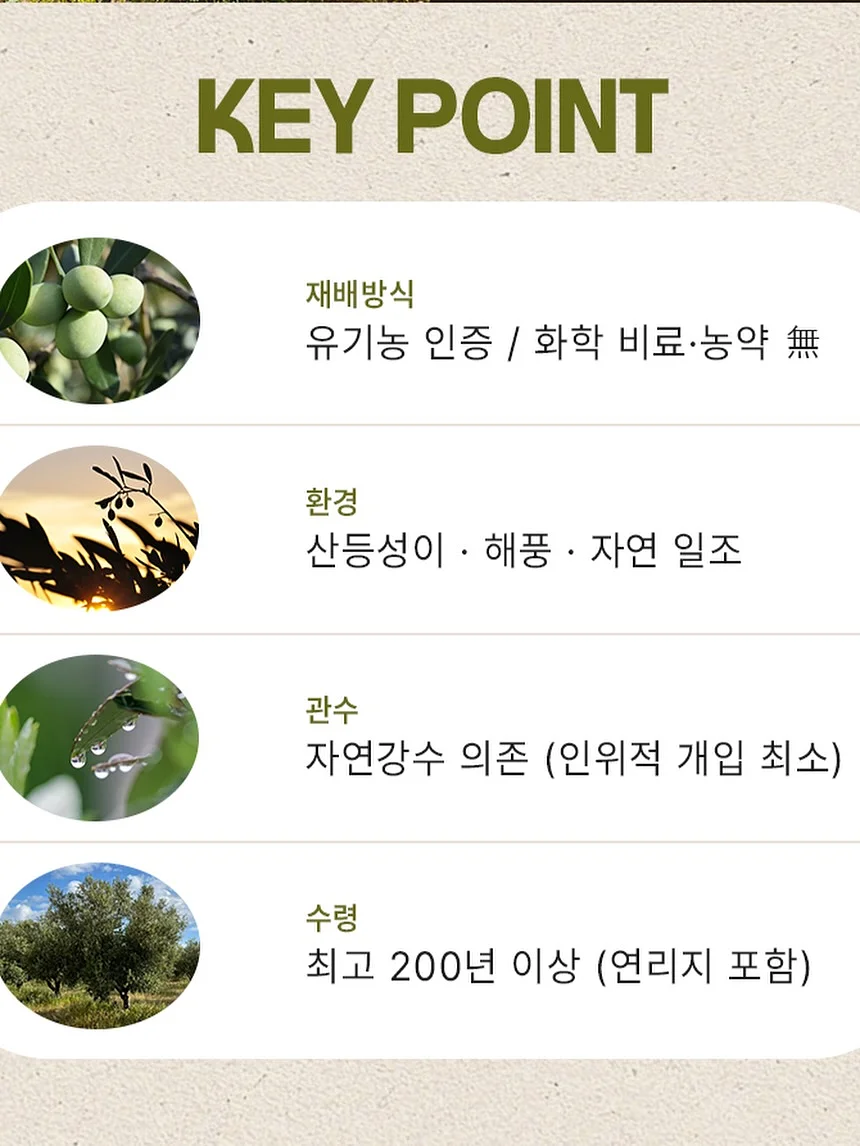 안키모 4