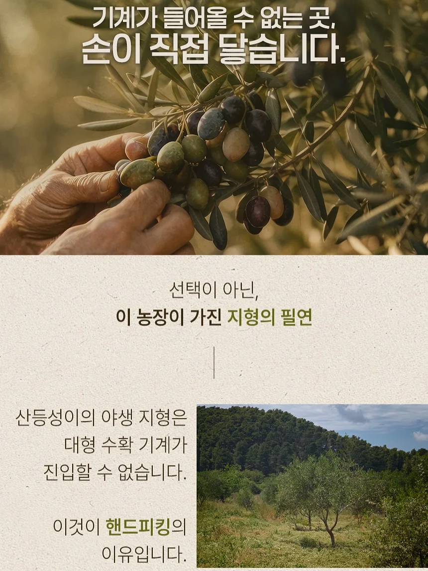 안키모 5