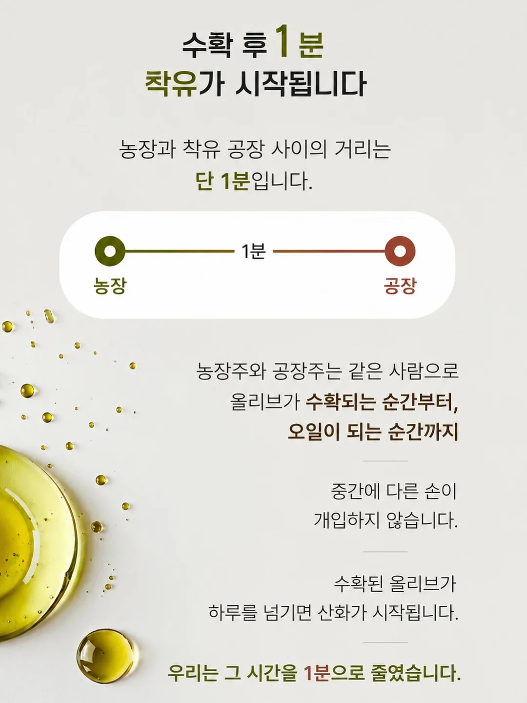 안키모 6