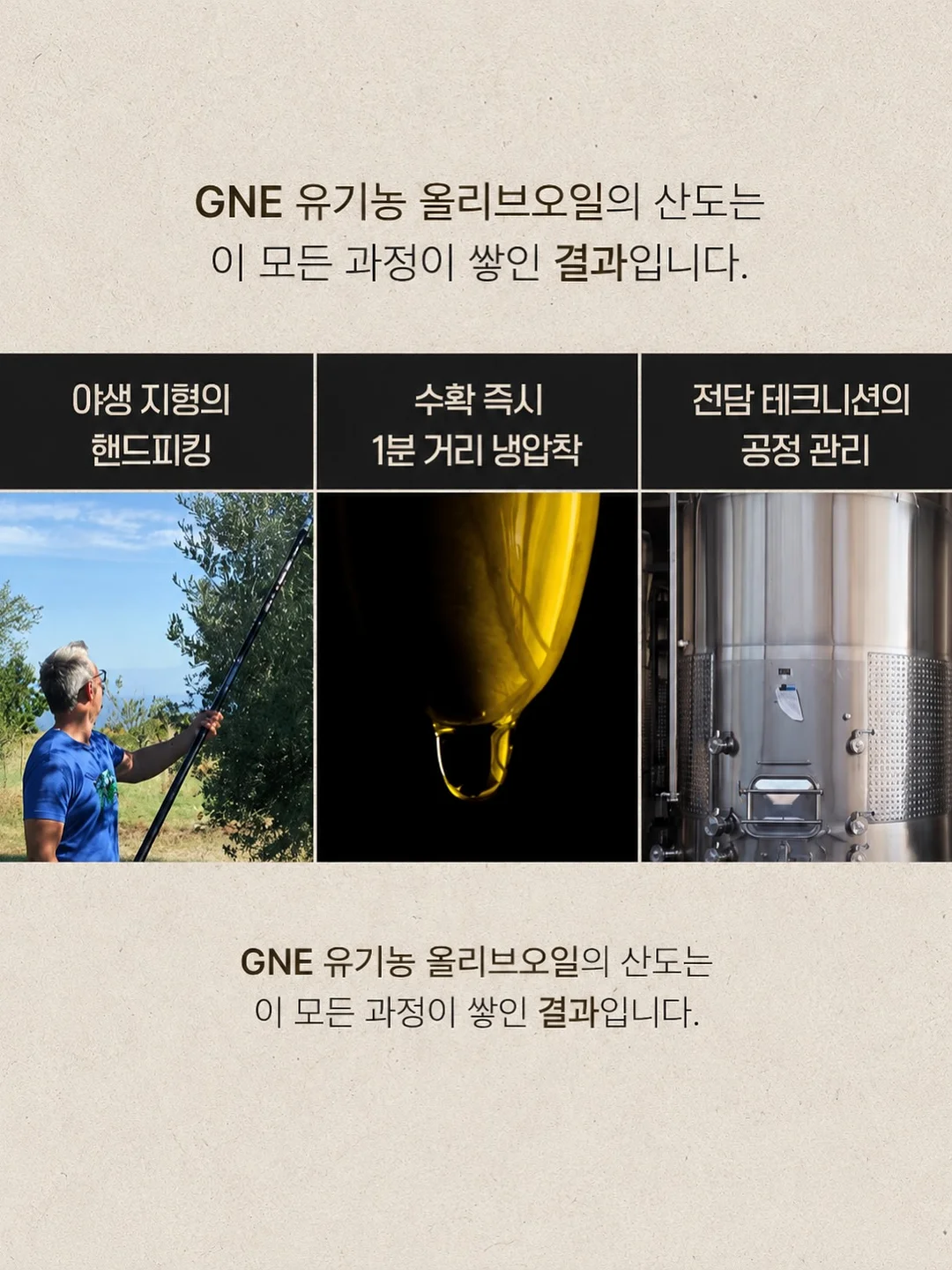 안키모 8