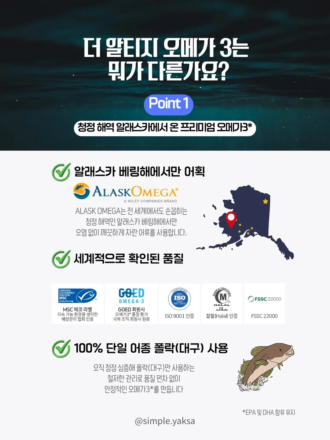 캠핑장 5