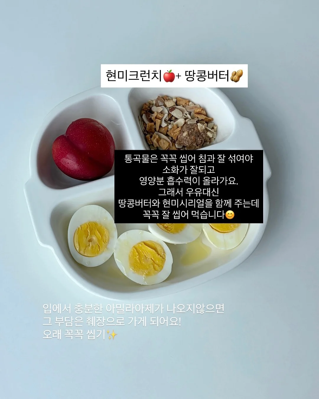 저당 요거트 크림빵 3