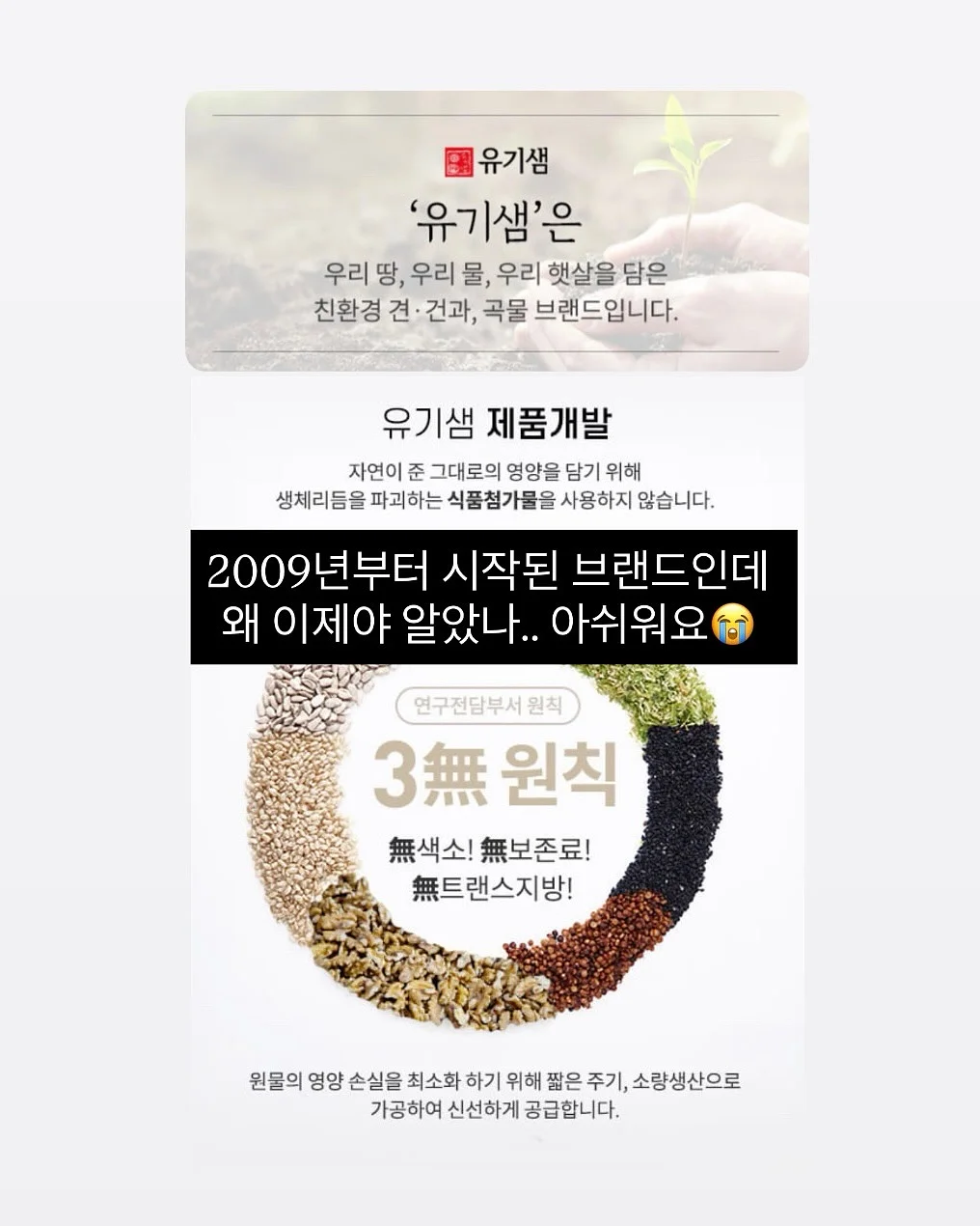 마음먹은 김 10