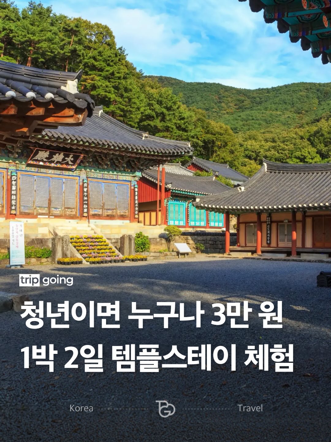 진공 흡착 후크 1