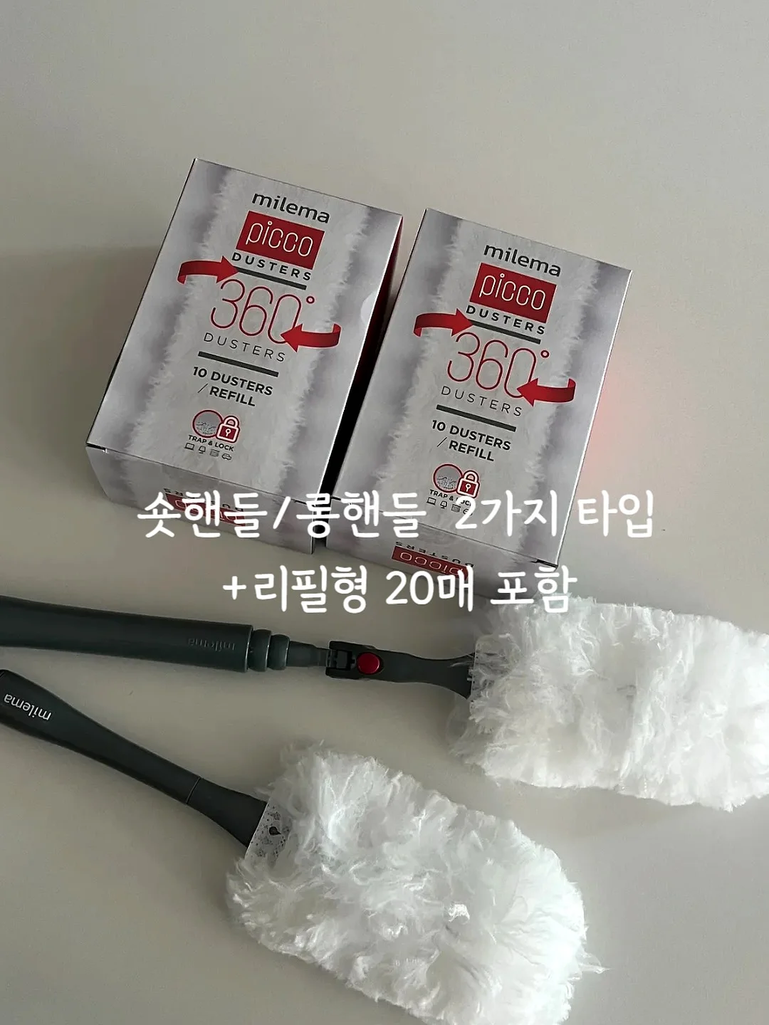 올리브나무 3