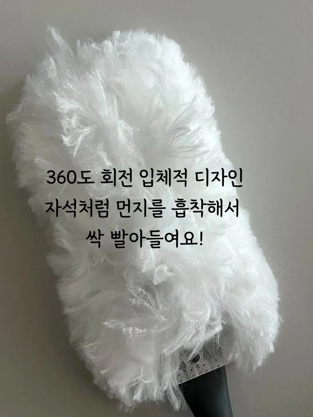올리브나무 7