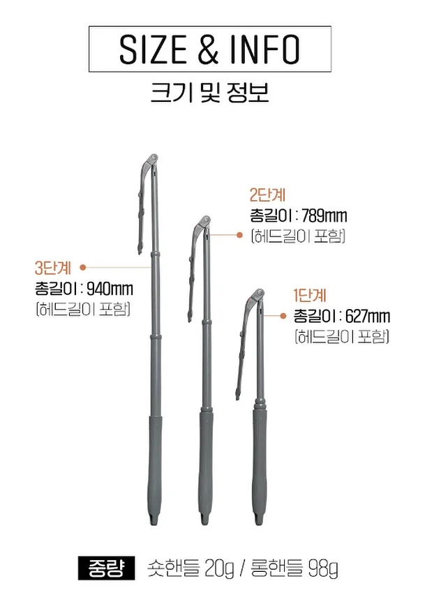 올리브나무 8