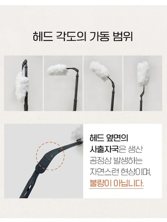 올리브나무 9