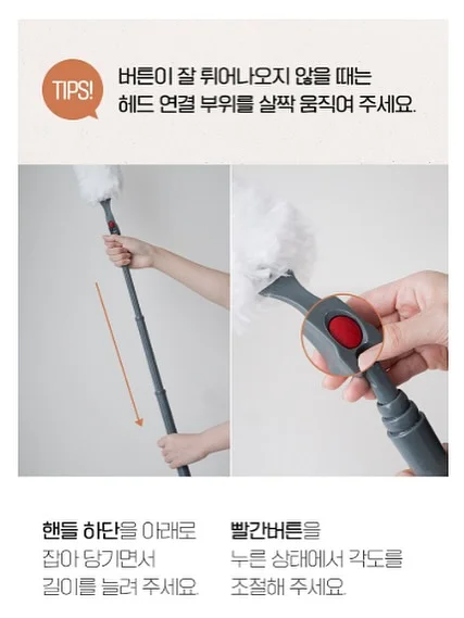 올리브나무 10