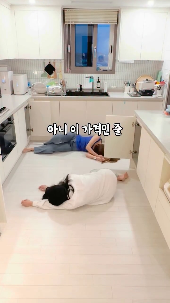 주니어 카시트