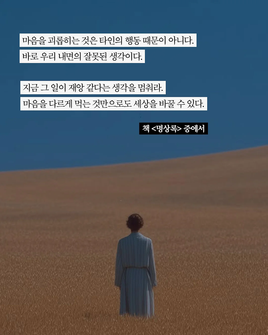 삶이 허기질 때 나는 교양을 읽는다 마스터 에디션 7