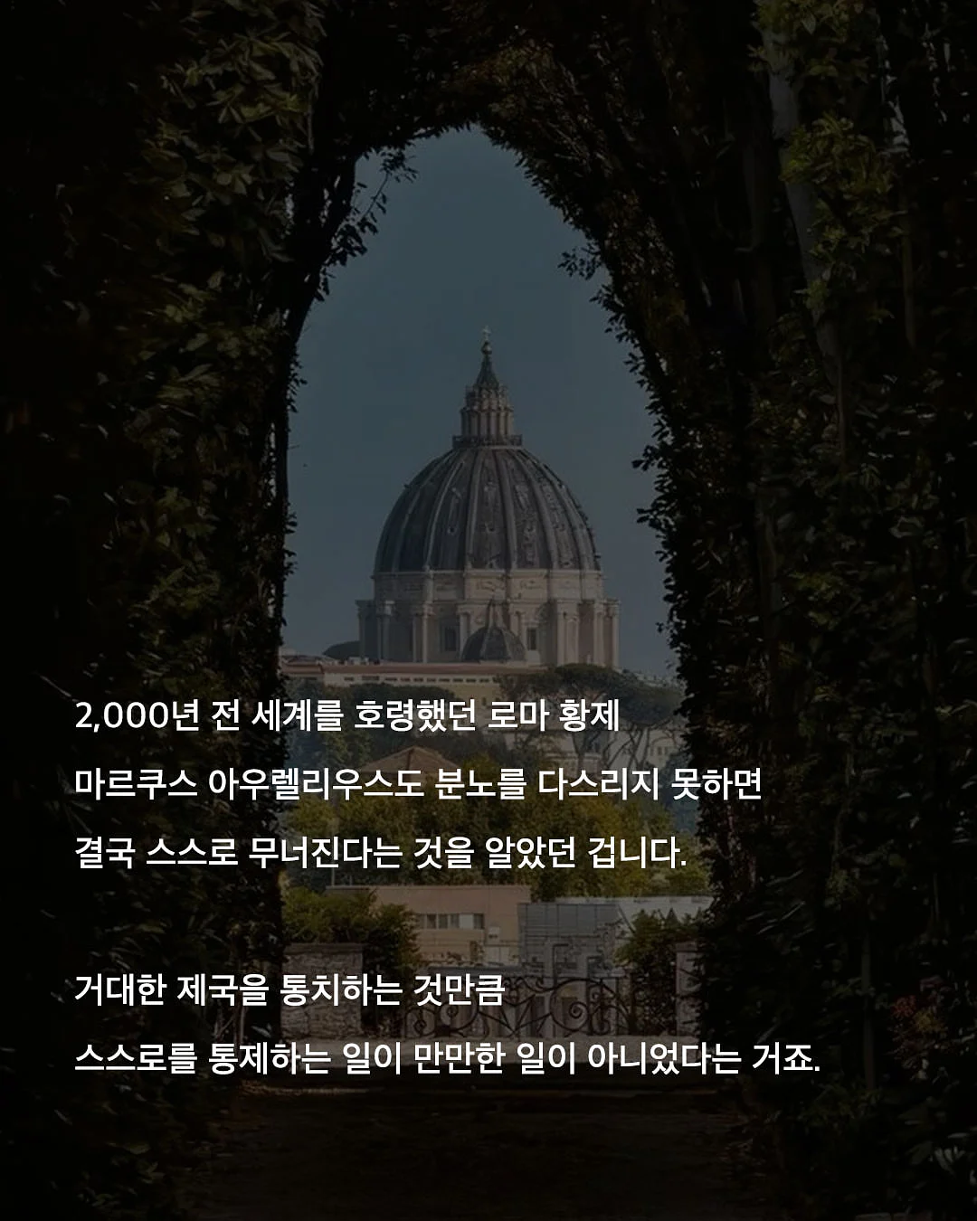 삶이 허기질 때 나는 교양을 읽는다 마스터 에디션 8