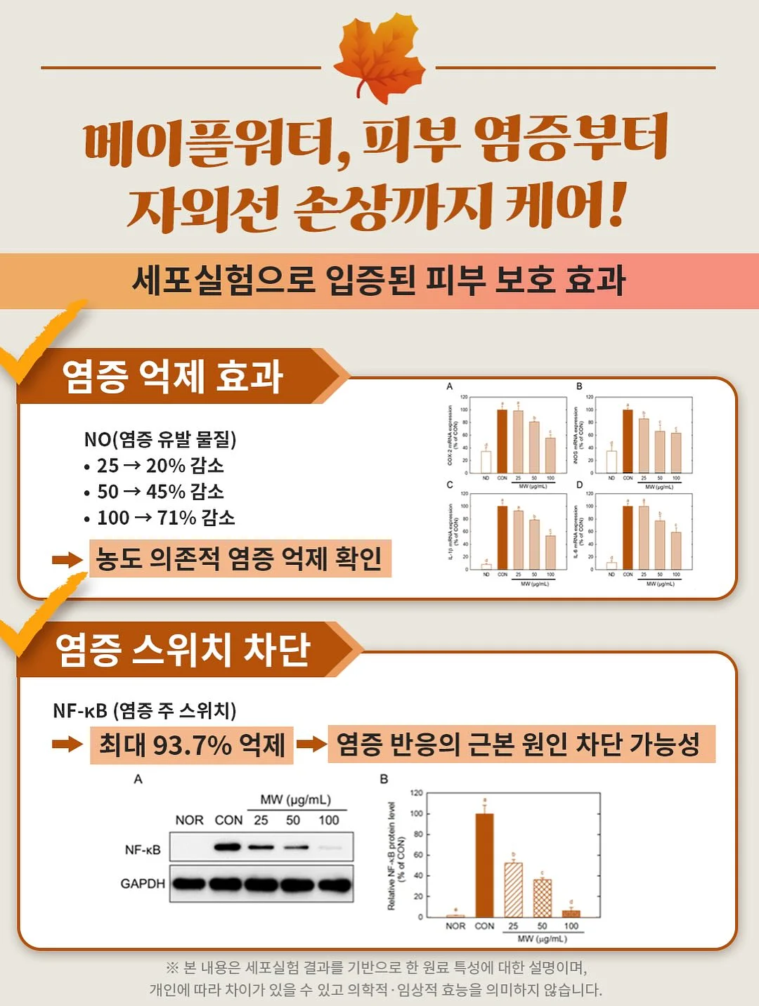 뷔스티에 스커트 세트 9