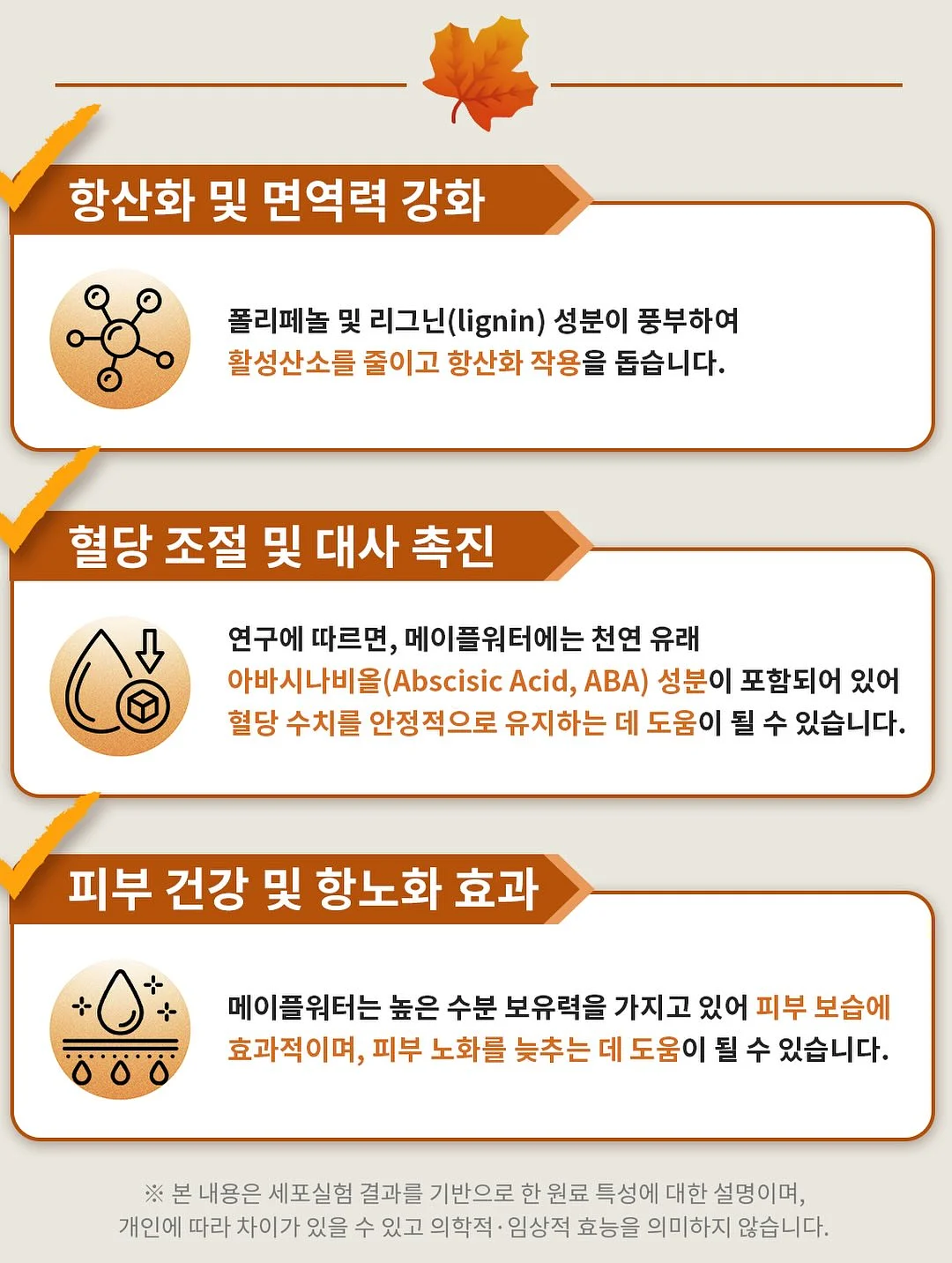 뷔스티에 스커트 세트 10