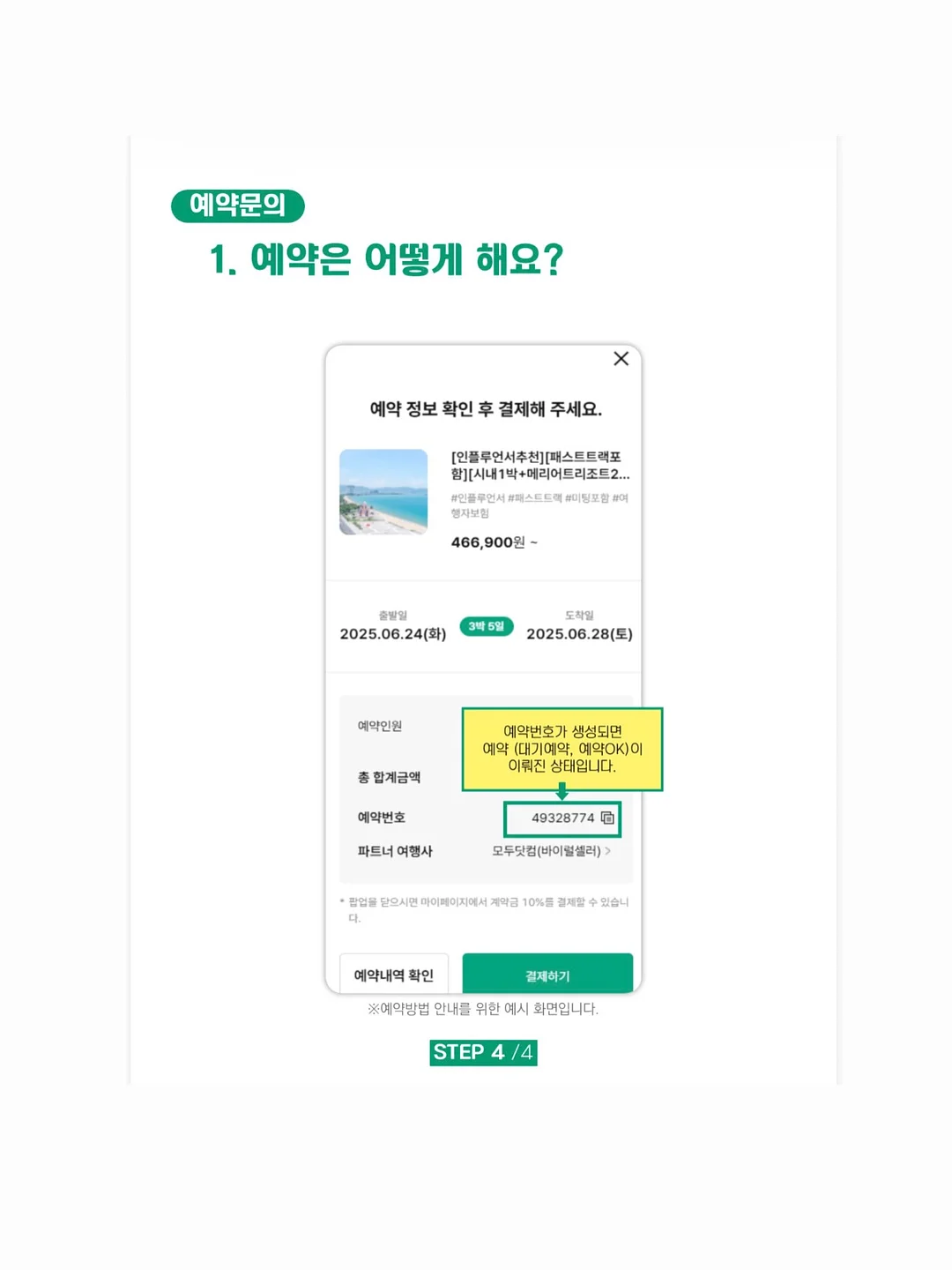 카네이션 키트 6