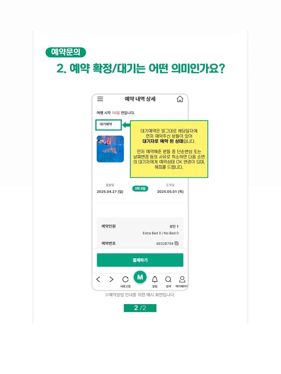 카네이션 키트 8