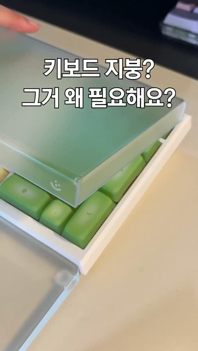 하이버디 여름신상