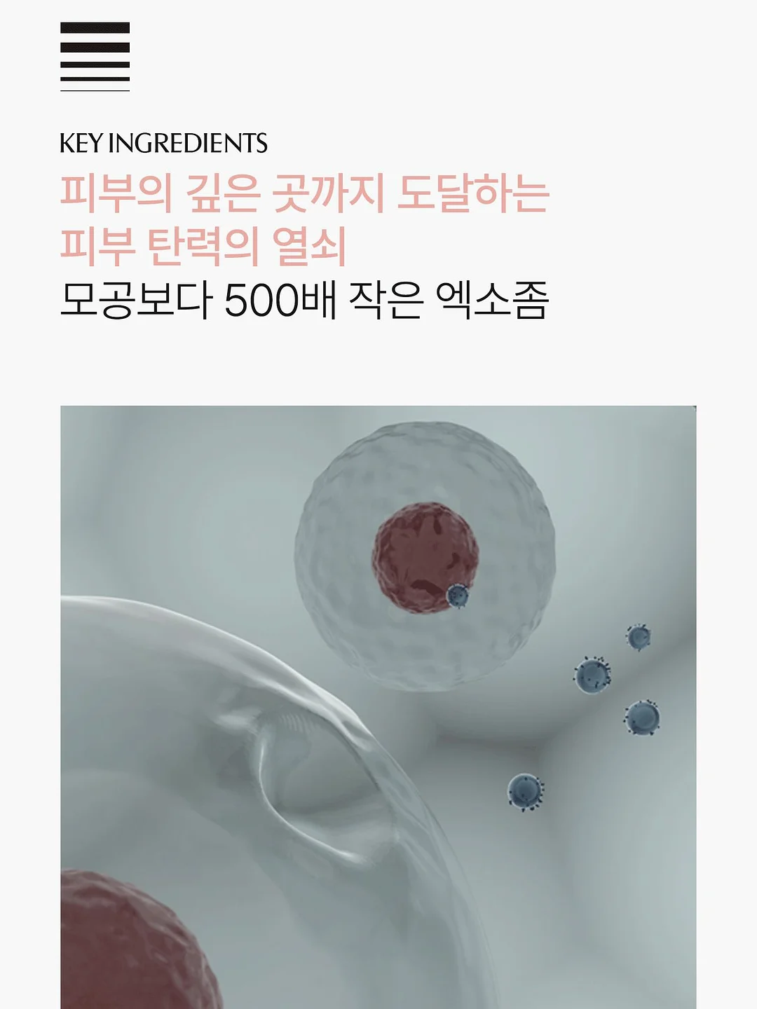 패치큐 화이트벨라 5