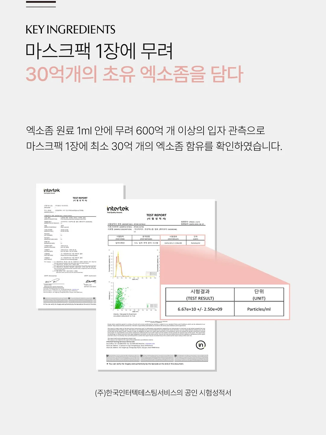 패치큐 화이트벨라 6