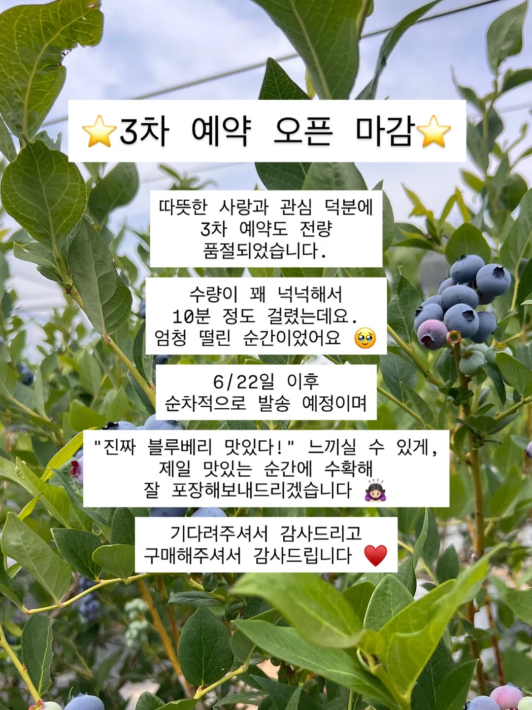 벌쓰데이 티셔츠