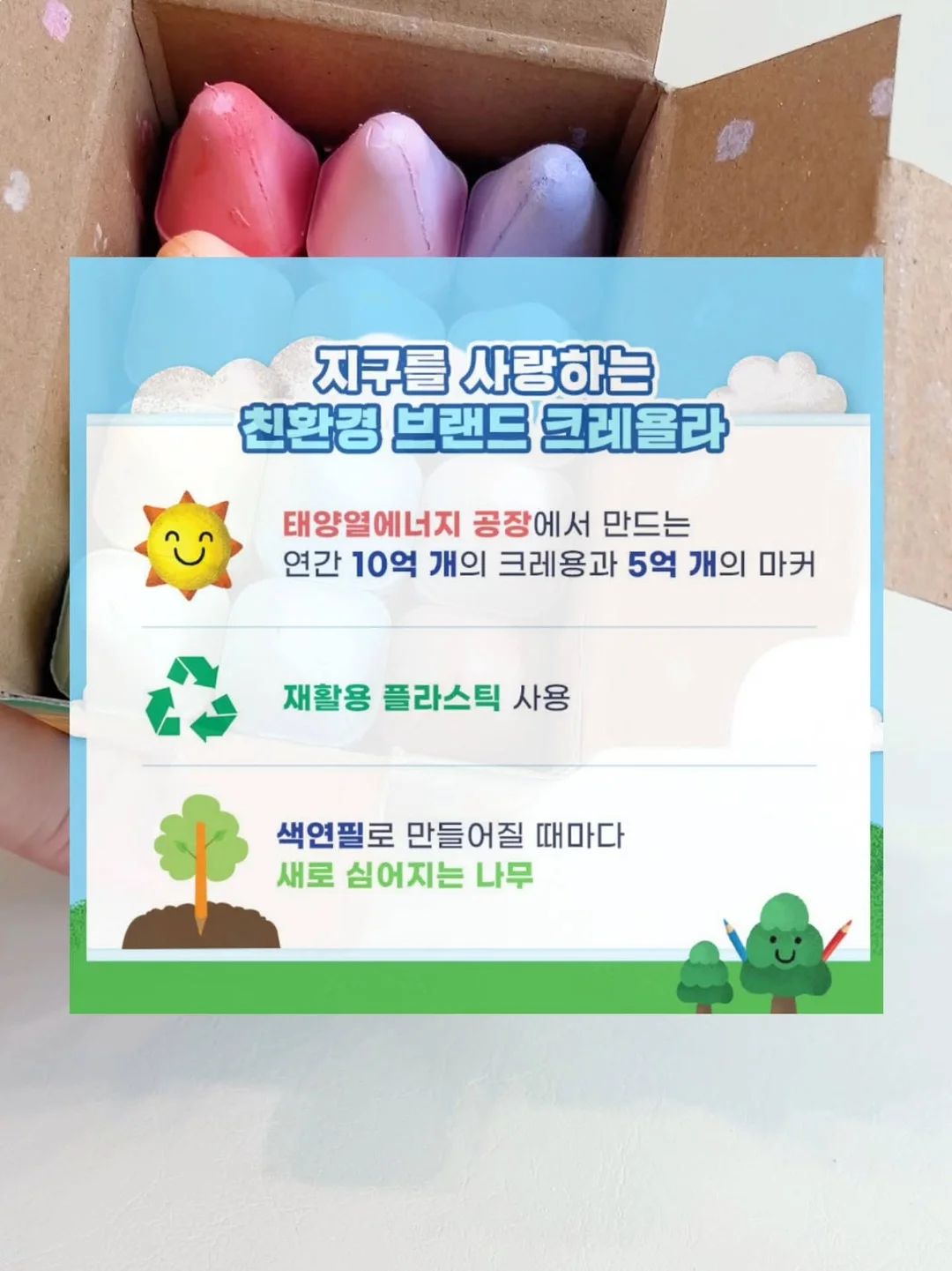 대나무발 8