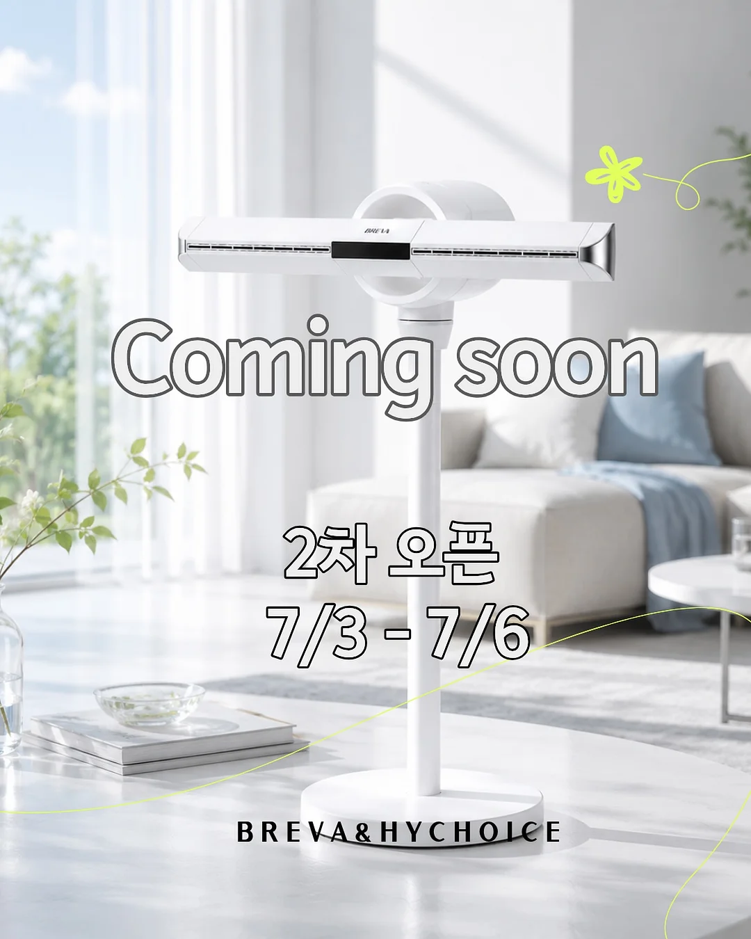 몬스테라