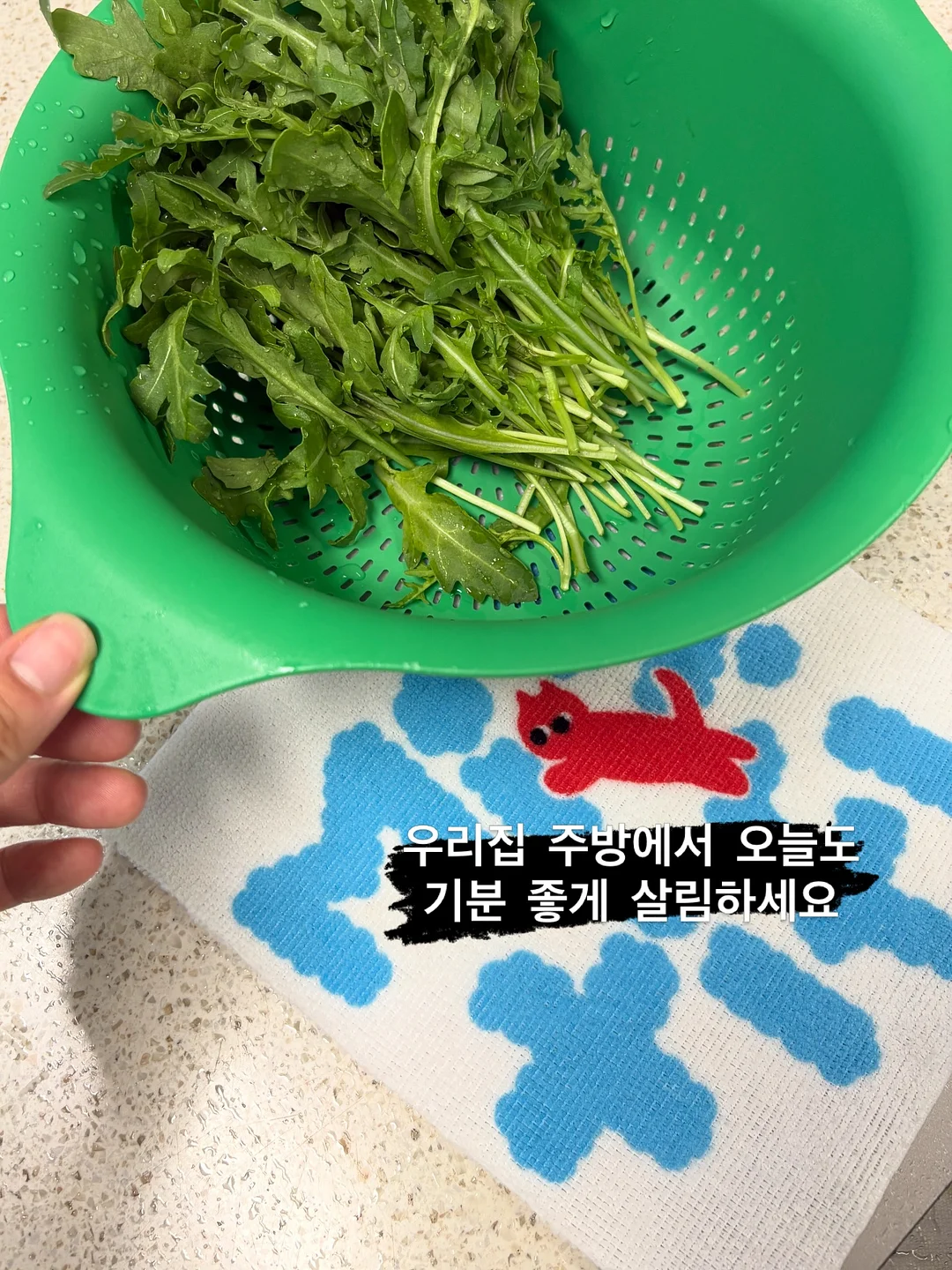 백밤 레스큐 밤 17