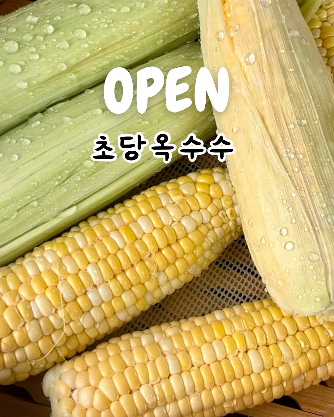 아역배우반 1